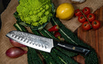 Santoku Chef’s Knife 7 inch: Best Quality Professional Scalloped (granton) edge Japanese VG10 67 Layer Damascus steel ultra sharp blade w/G10 handle.